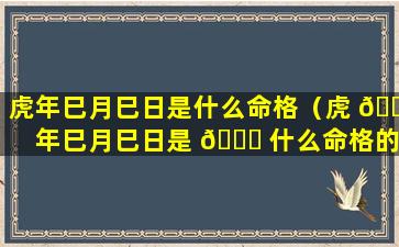 虎年巳月巳日是什么命格（虎 🐶 年巳月巳日是 🐕 什么命格的人）